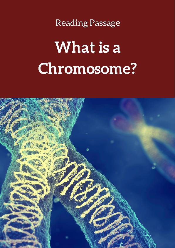 Chromosome, Reading Passage's featured image