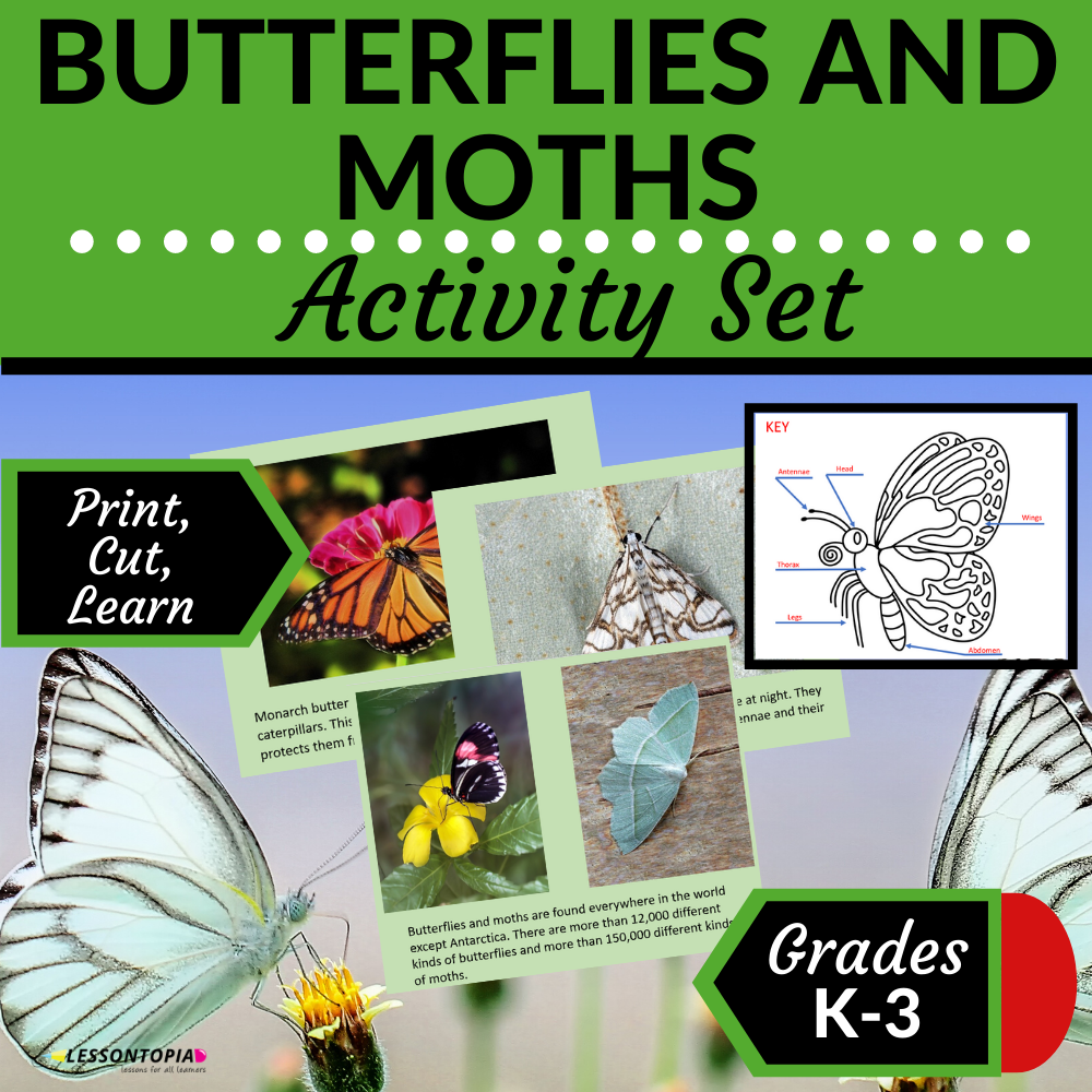 Butterfly and Moth Activities's featured image