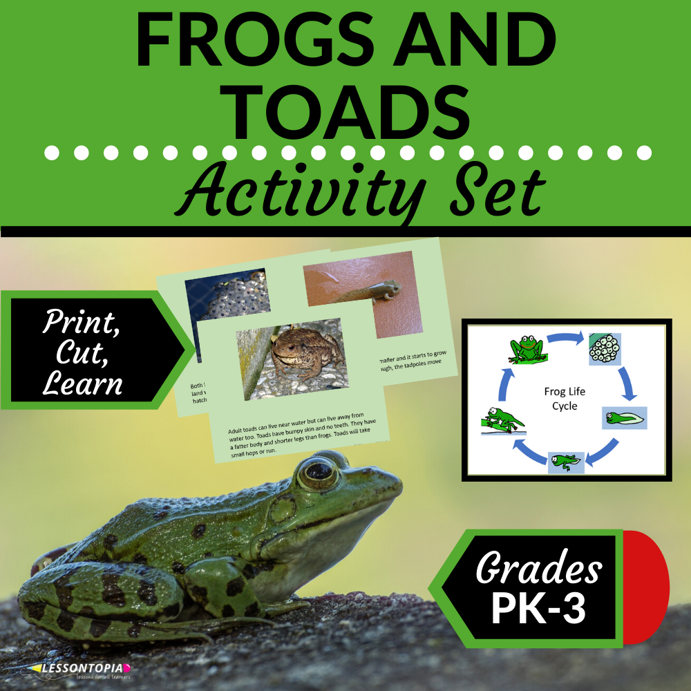 Frog and Toad Activities