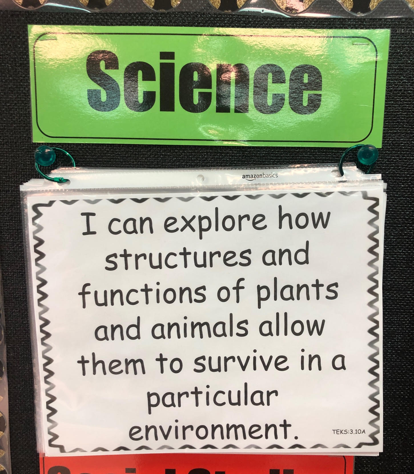 3rd Grade Science I Can Statements's featured image