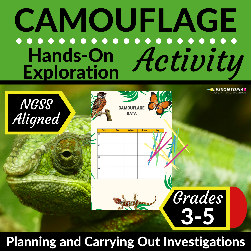 Camouflage Modeling Activity