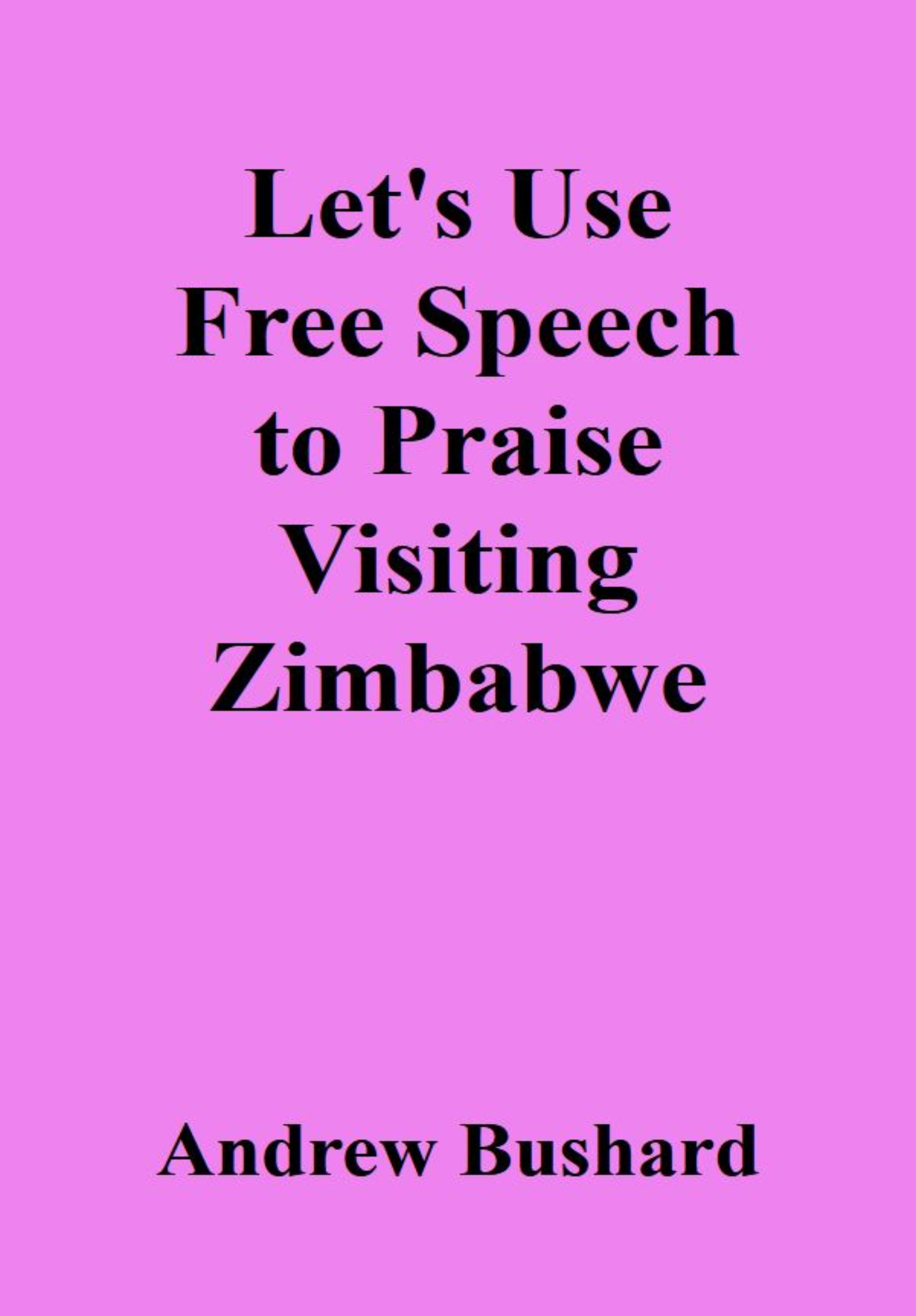 Let's Use Free Speech to Praise Visiting Zimbabwe's featured image
