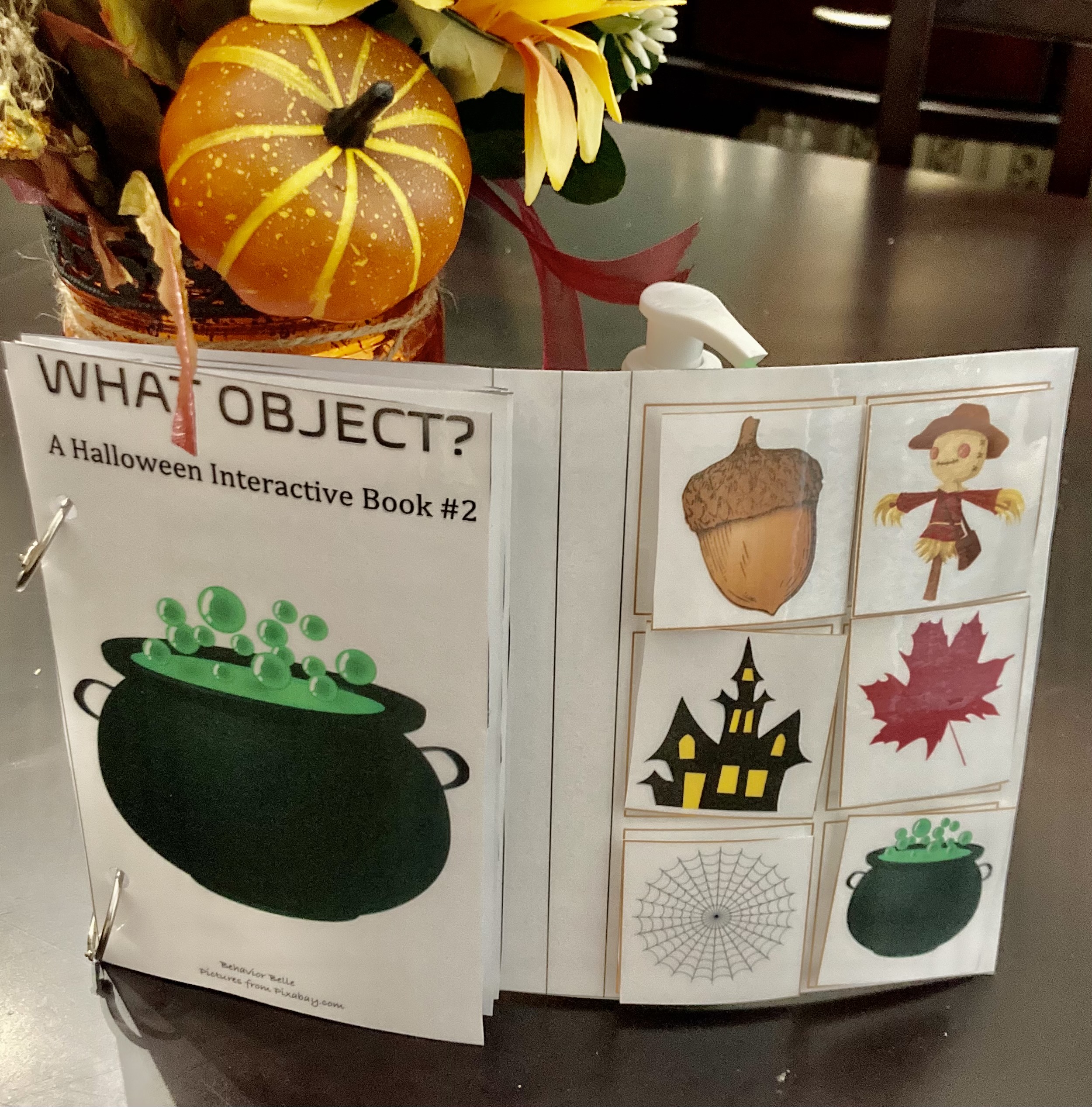 WH QUESTIONS Halloween Edition (WHAT Object?) Adapted Book (WHAT QUESTIONS)'s featured image