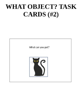 WH Questions WHAT Object? Halloween Editions (6 Task Cards) #2's featured image