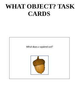 WH QUESTIONS Halloween Edition Task Cards- 6 Cards (WHAT) (ABLLS-R Aligned)'s featured image