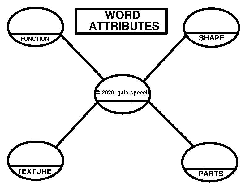 WORD ATTRIBUTES WEB: function, shape, texture, parts's featured image