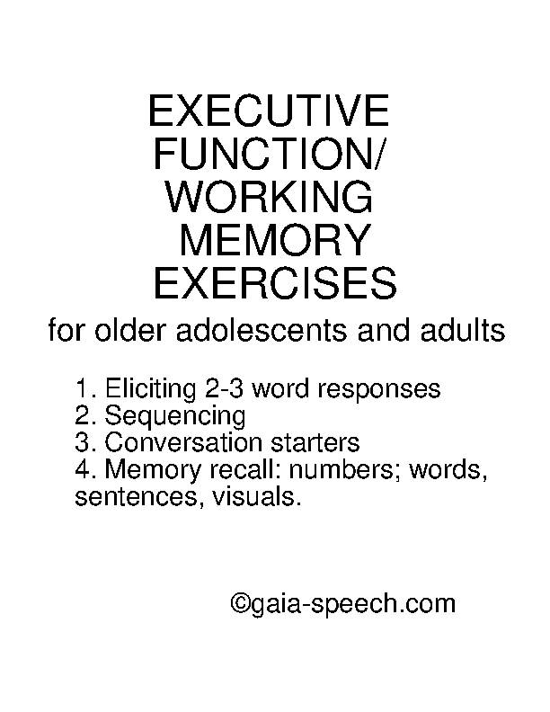 EXECUTIVE FUNCTION/WORKING MEMORY EXERCISES's featured image