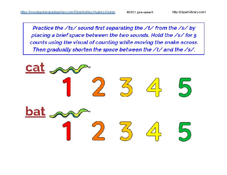 TS sound in CVC and 2-3 syllable words with snake visual