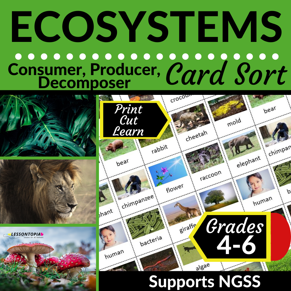 Consumer, Producer, Decomposer | Card Sort | Ecosystems