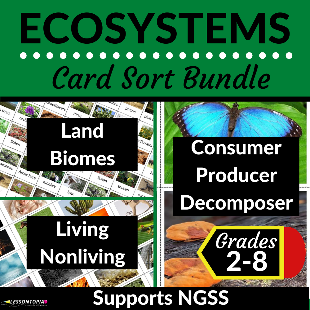 Ecosystems Activities | Card Sort Bundle