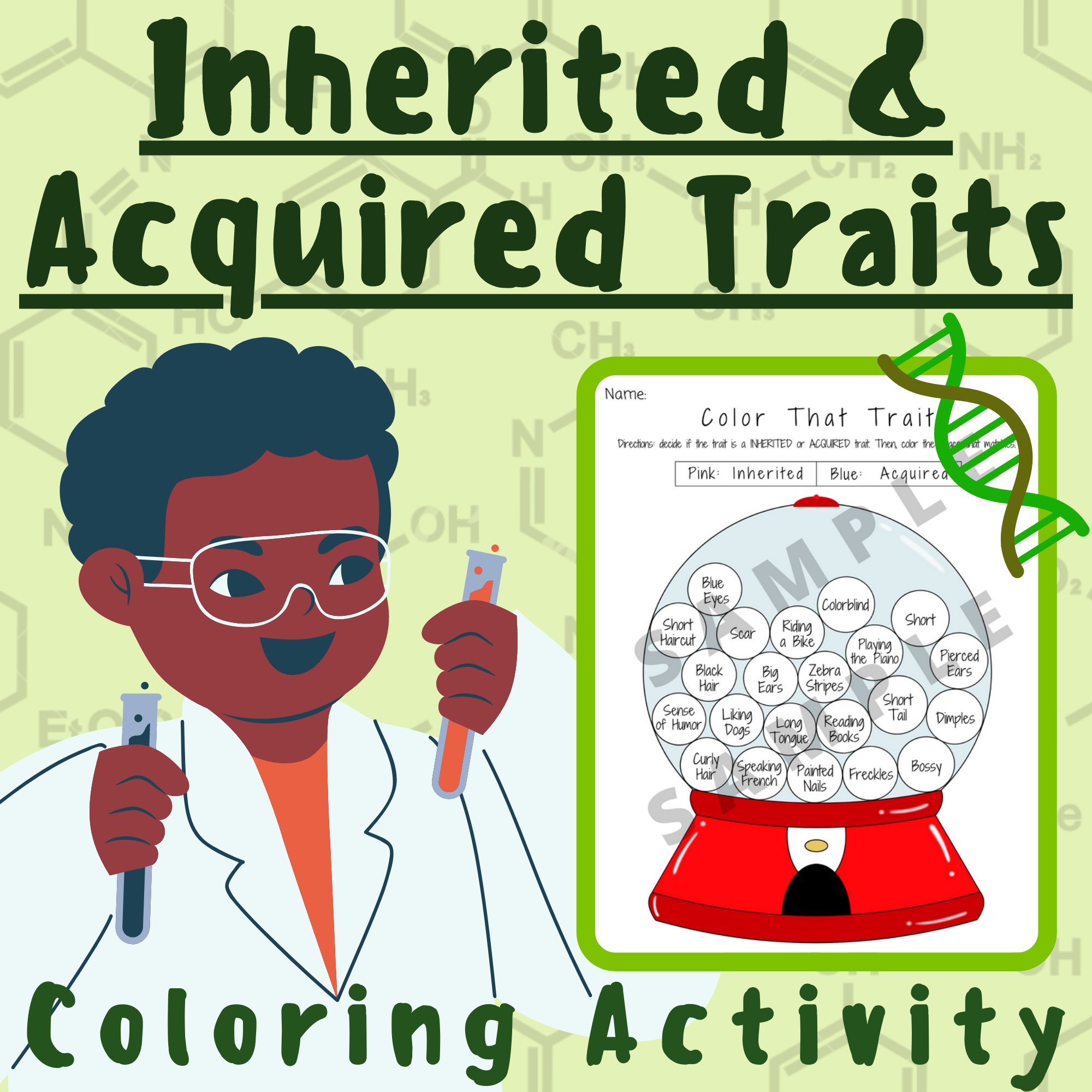 Heredity Inherited and Acquired Traits Coloring Activity Worksheet; For K-12 Teachers and Students in the Science and Biology Classroom's featured image