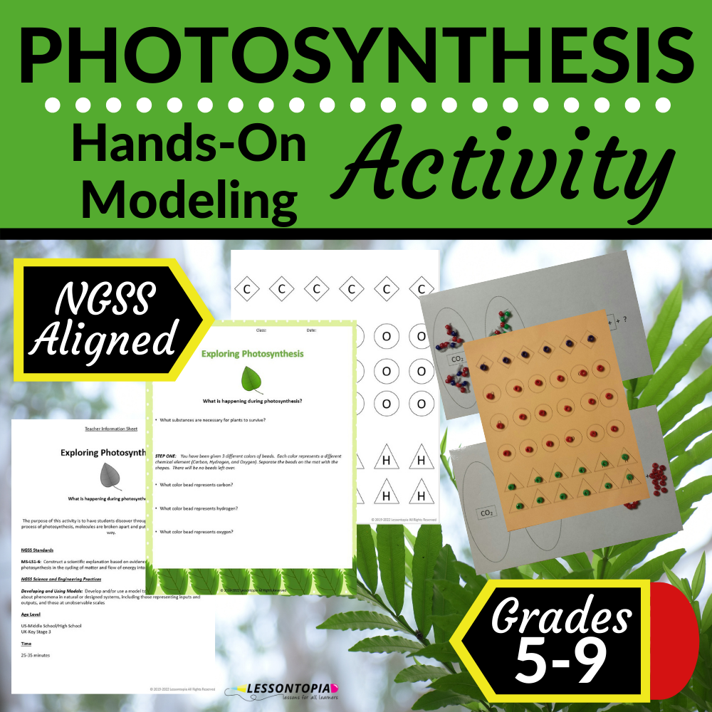Plants | Photosynthesis Model Activity | Lesson Plan