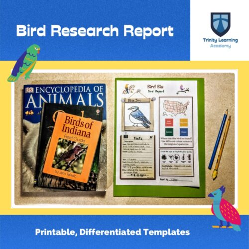 Bird Research Report Graphic Organizer's featured image