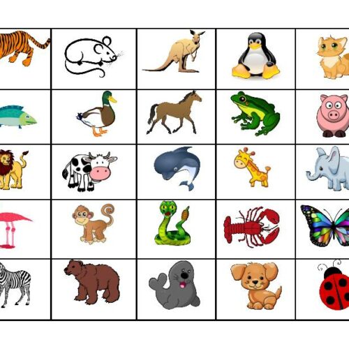 Animal Bingo - Classful