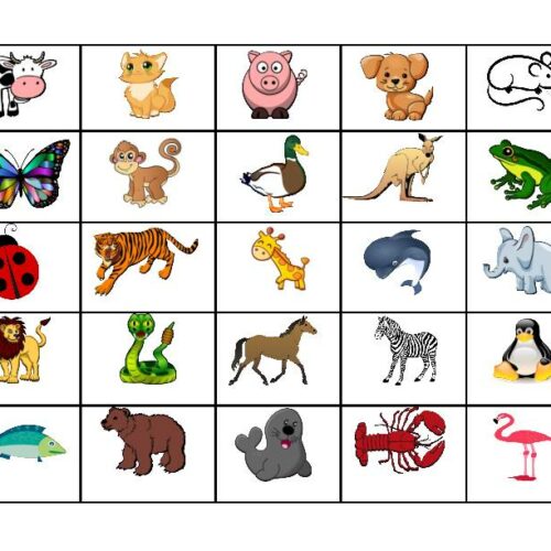 Animal Bingo - Classful