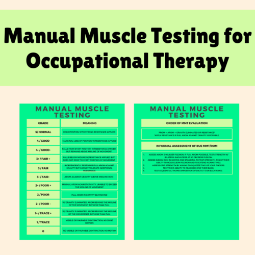 Manual Muscle Testing Guide for Occupational Therapy | OT and COTA Students Study Aides's featured image