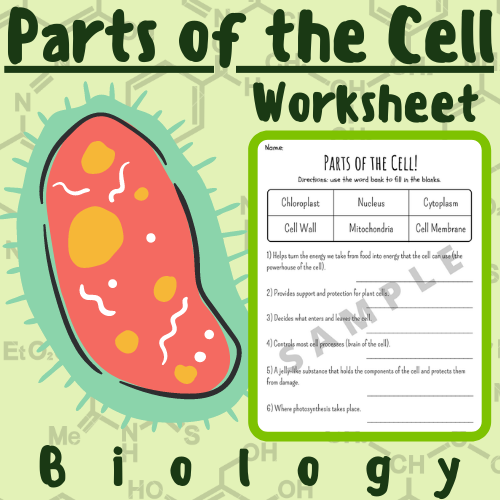 Parts of the Cell Worksheet (Nucleus, Mitochondria, Chloroplast, Cell Membrane/Wall, Etc.) For K-5 Teachers and Students in the Science Classroom's featured image