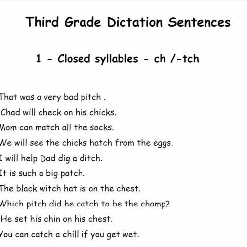 Second or Third Grade Decodable Sentences to Practice Fluency and Dictation's featured image