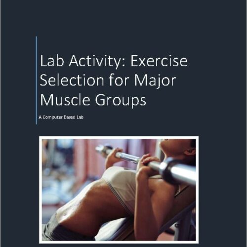 Virtual Muscle Lab Activity: Exercise Selection for Major Muscle Groups's featured image