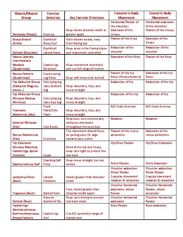 Large muscle group online exercises