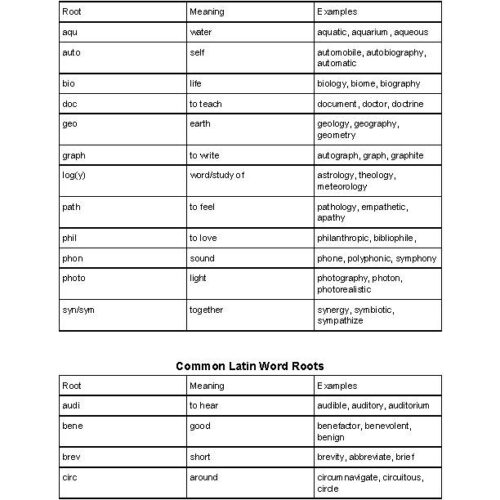 Latin and Greek Word Roots Handout's featured image