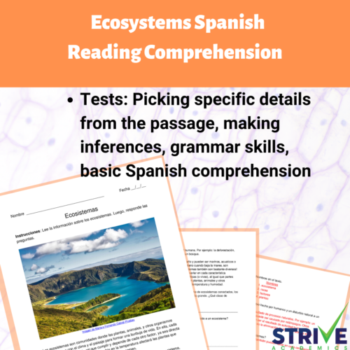 Ecosystems Spanish Reading Comprehension Worksheet's featured image