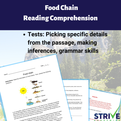The Food Chain English Reading Comprehension Worksheet