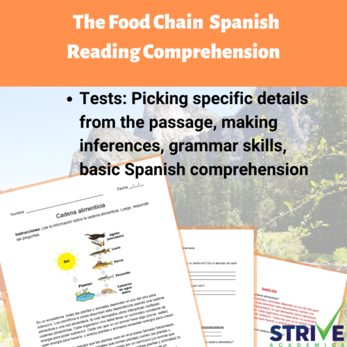 The Food Chain Spanish Reading Comprehension Worksheet's featured image