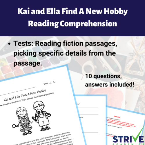 Kai and Ella Find A New Hobby Fiction Reading Comprehension Worksheet's featured image
