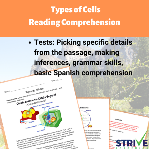 Types of Cells Spanish Reading Comprehension Worksheet's featured image