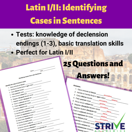 Latin I/II: Identifying Cases in Sentences - Set 1's featured image