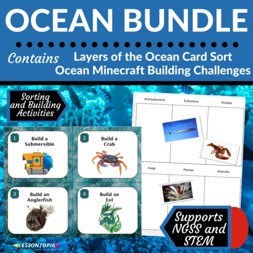 Ocean Activities | Ecosystems | Bundle's featured image