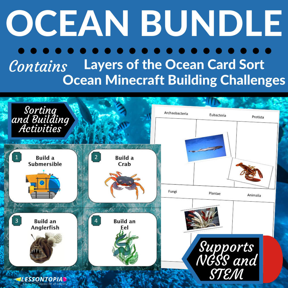 Ocean Activities | Ecosystems | Bundle