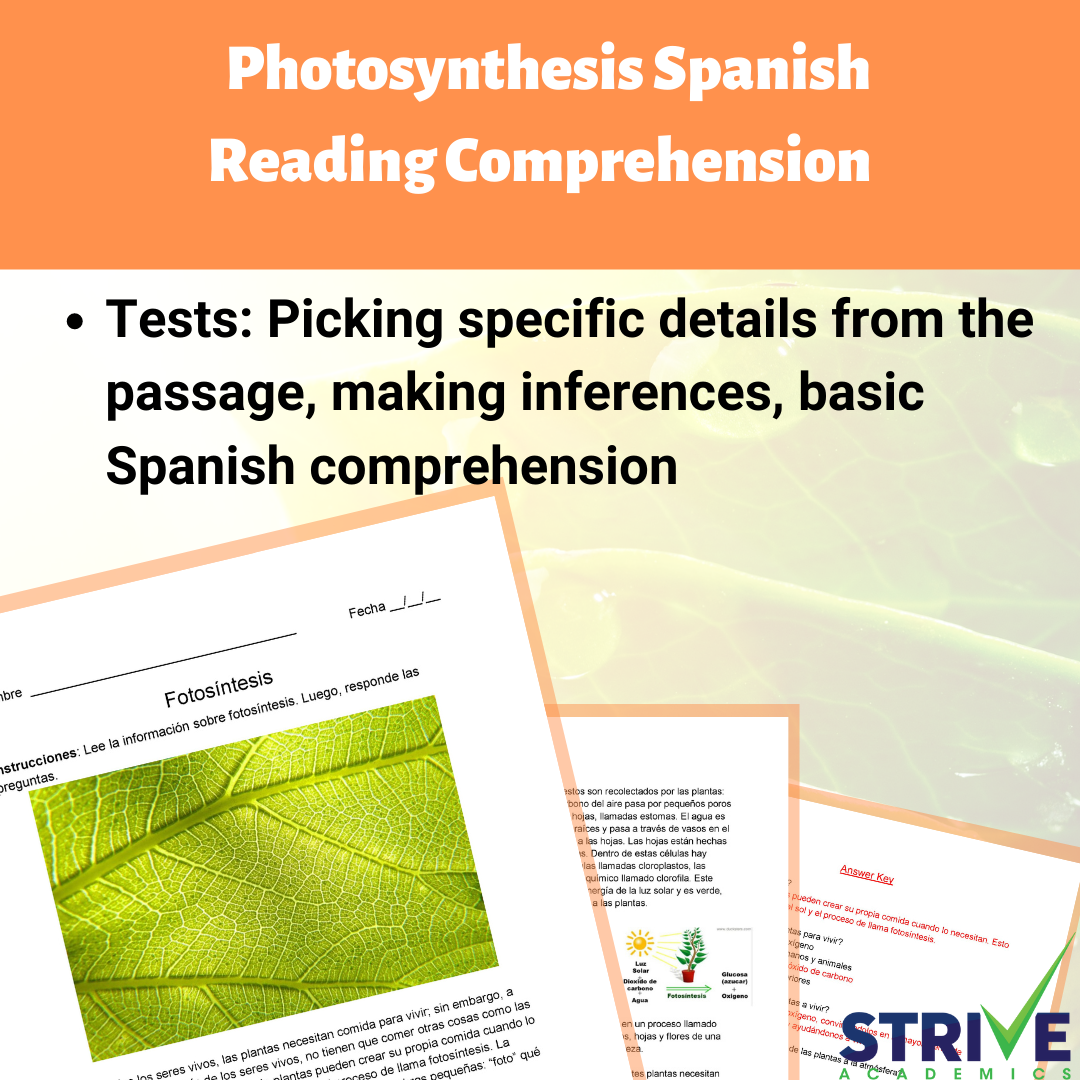 Photosynthesis Spanish Reading Comprehension Worksheet's featured image