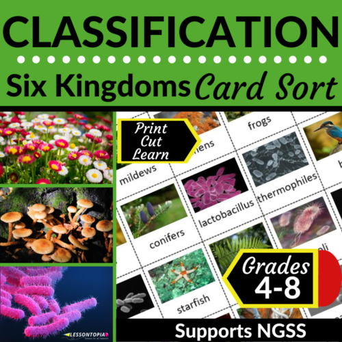 Six Kingdoms | Classification | Card Sort's featured image
