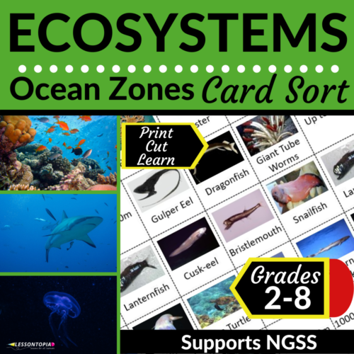 Ocean Zones | Ecosystems | Card Sort's featured image