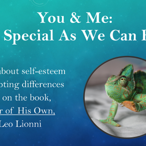 Book Based Social-emotional Learning Self-Esteem Friendship SEL Lesson Diversity w 3 Videos's featured image