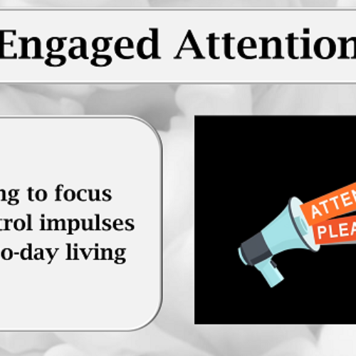 Engaged Attention Focus Concentration Study Skills SEL LESSON w 3 Videos's featured image