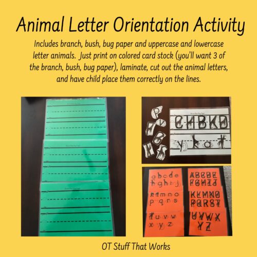 Animal Letter Orientation Activity's featured image