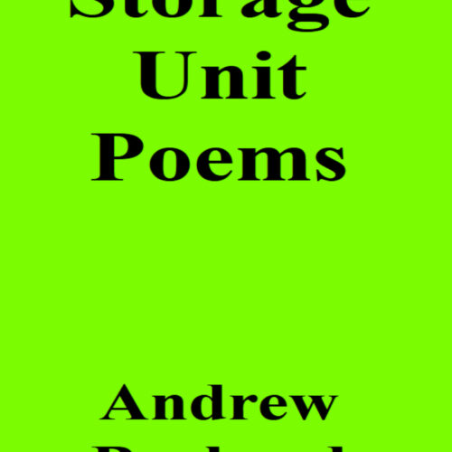 Storage Unit Poems Audiobook's featured image