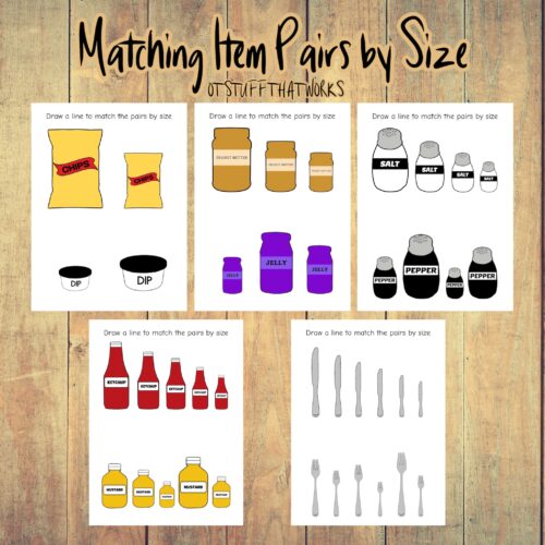 Matching Pairs by Size (Things That Go Together)'s featured image