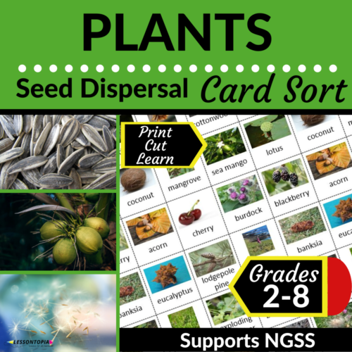 Seed Dispersal | Plants | Card Sort's featured image