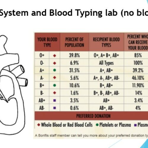 Blood Typing Simulation Lab (NO BLOOD REQUIRED!)'s featured image