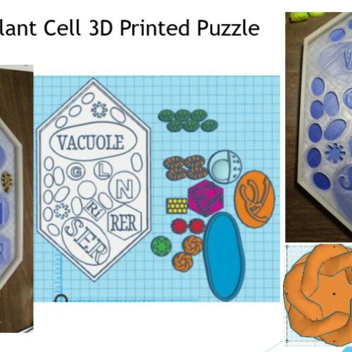 TinkerCAD Plant cell 3D printed's featured image