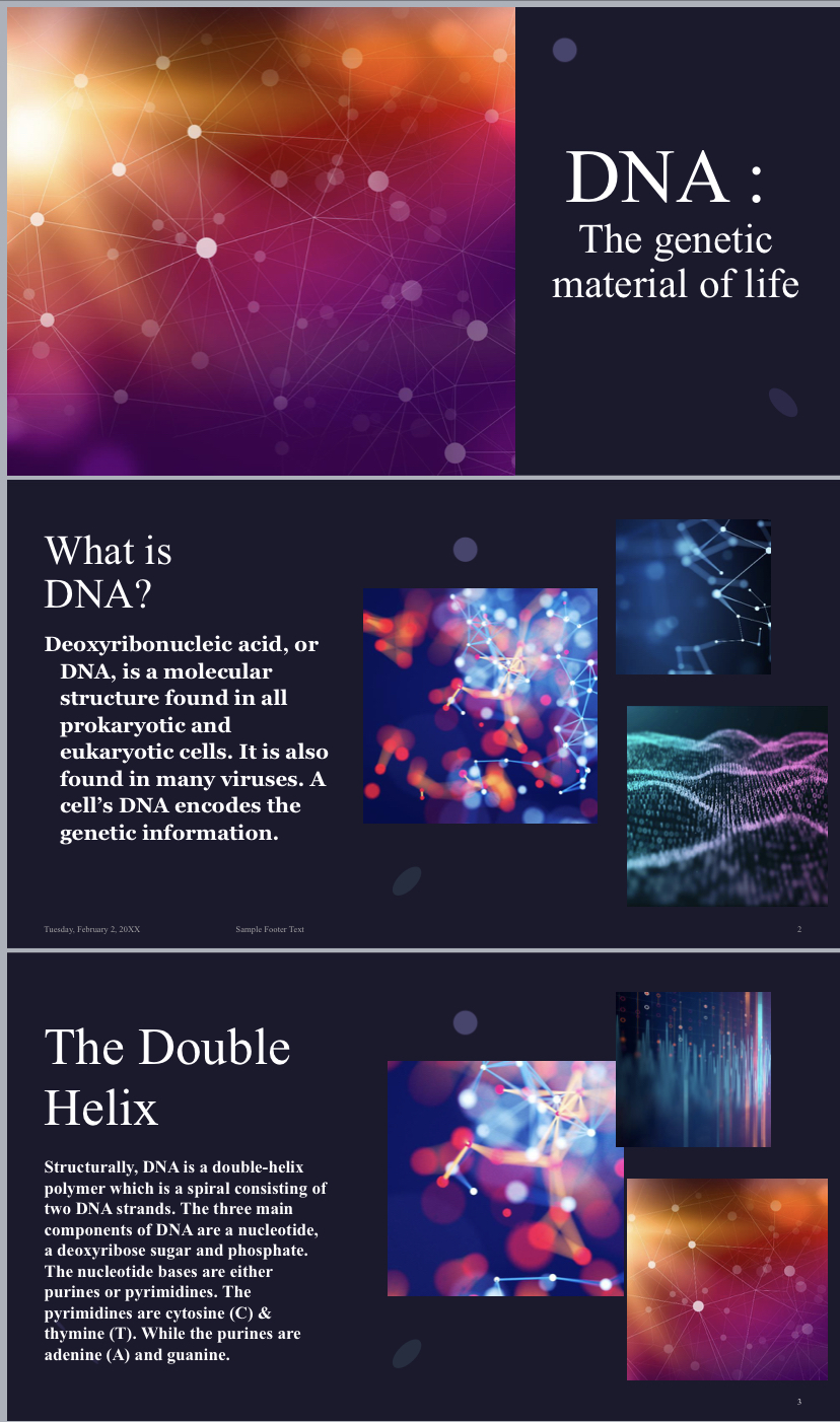 DNA basics powerpoint