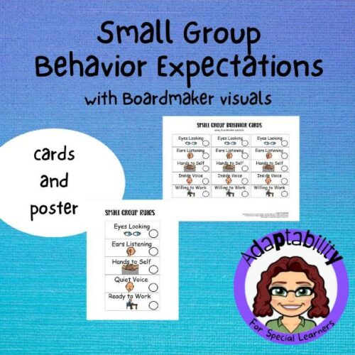 Small Group Behavior Visuals for special needs students's featured image