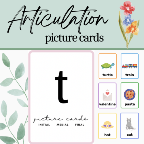 T Printable Articulation Picture Cards: Initial Medial Final Word Positions's featured image
