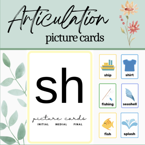 Sh Printable Articulation Picture Cards: Initial Medial Final Word Positions's featured image