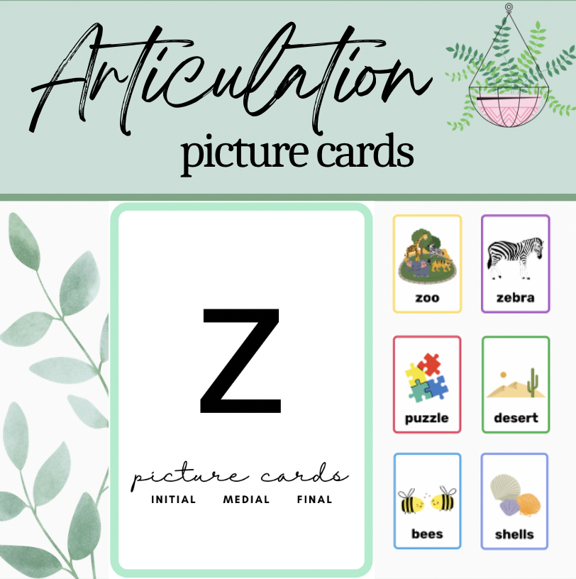 Z Picture Cards Initial Medial Final Word Positions for Articulation - SLP