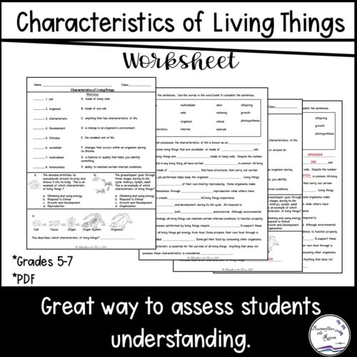 Characteristics of Living Things Worksheet's featured image